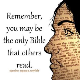 OnlyBible