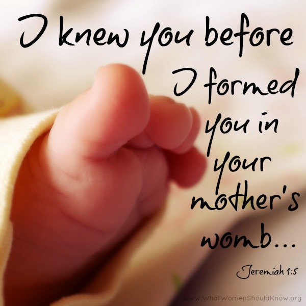 Mothers-Womb-Jeremiah-1.5