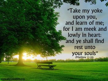 TakeMyYoke