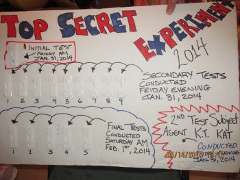 TopSecret