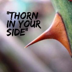 thornInSide