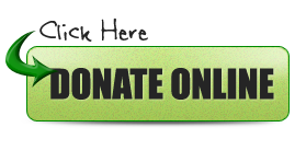 DonateOnlineGreen